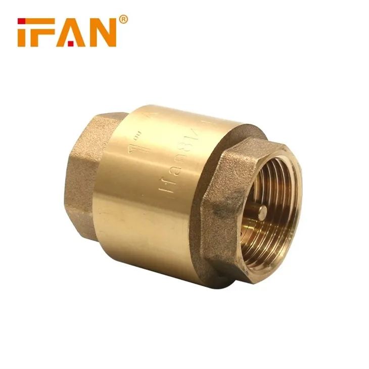 brass check valve fitting