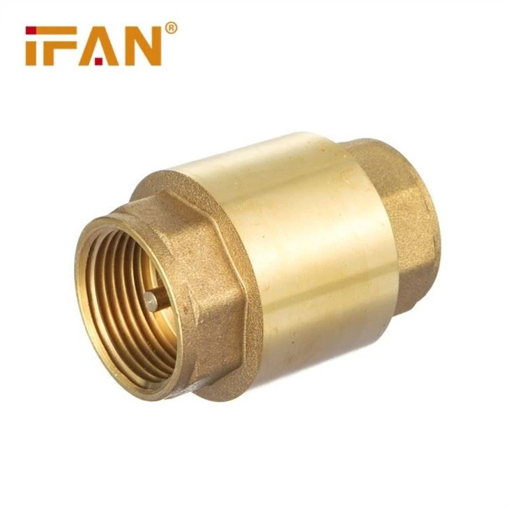 Brass Spring Check Valve