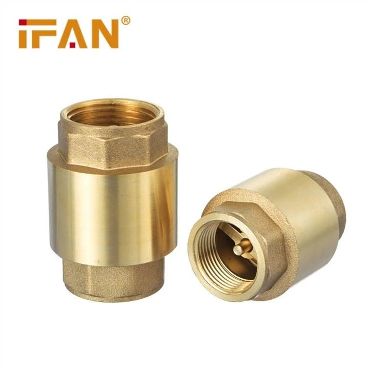 Brass Spring Check Valve