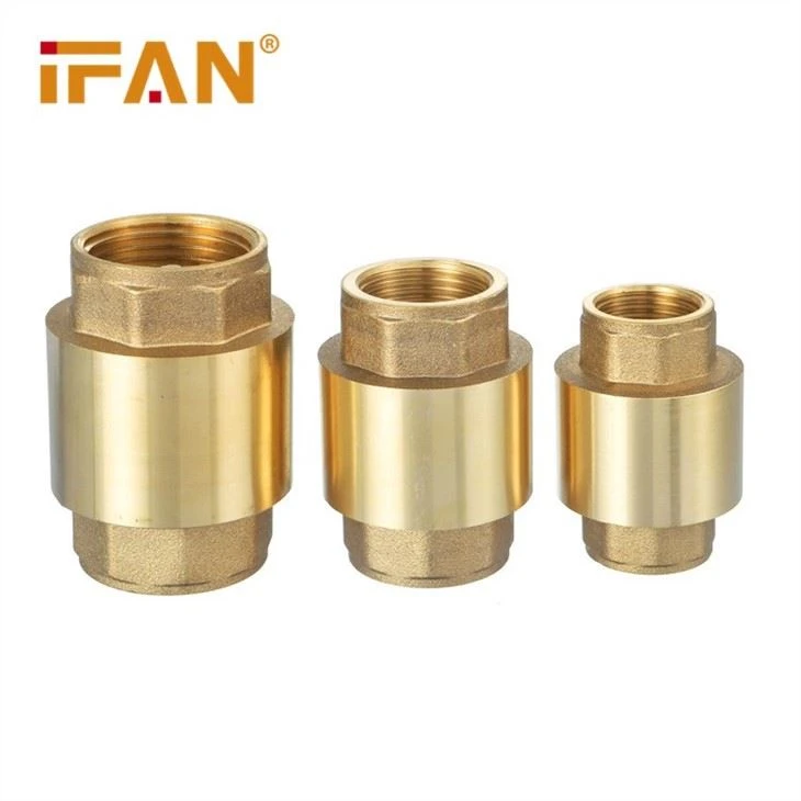 Brass Spring Check Valve
